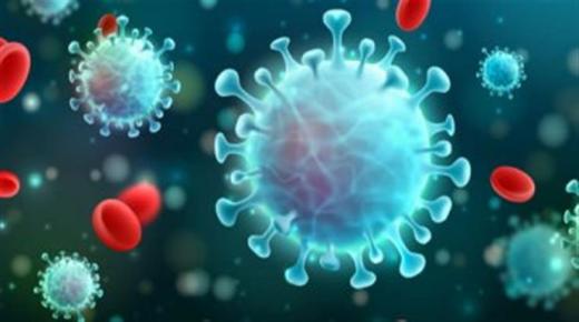 أستراليا.. تسجيل صفر إصابات محلية بفيروس كورونا لليوم الـ37 على التوالي