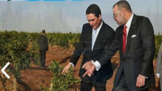 الملك يشرف على غرس 100 هكتار من شجر الأركان باشتوكة