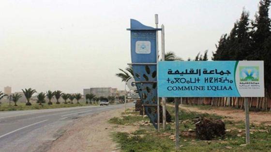 حملة لتحرير الملك العمومي بالقليعة وتوجيه أصحاب العربات للسوق