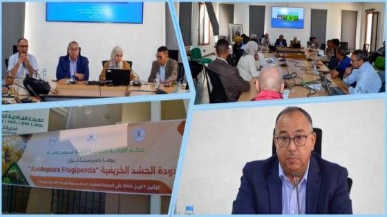 تارودانت.. حشرة الحشد الخريفية تجمع منتجين ومسؤولي محطّات التّلفيف