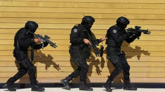 دورة تدريبية عسكرية على تقنيات الإنزال السريع لفائدة قوات البحرية الملكية
