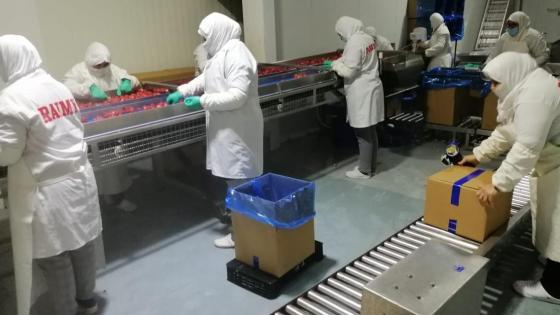 نقابة تربط الاستهتار وعدم الجدية بظهور الوباء في الوحدات الإنتاجية