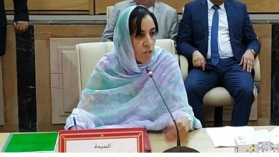 امباركة بوعيدة: أولويات مجلس جهة كلميم هي اقتصادية واجتماعية بامتياز