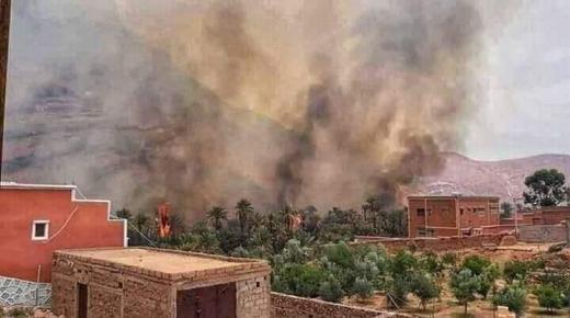 حريق مهول يأتي على واحة ” أفرا ” في زاكورة  