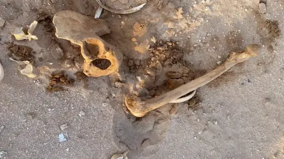 العتور على عضام بشرية بتافراوت