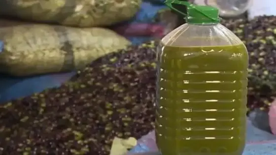 زيت الزيتون وتهاوي الأسعار في جميع أنحاء المملكة