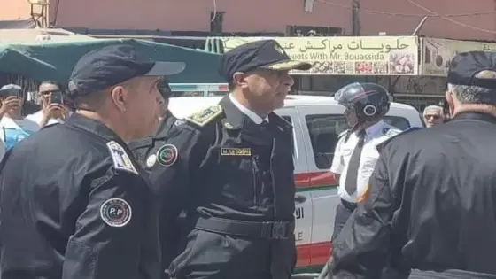 الارقام مهمة ، الحصيلة الأمنية لمكافحة المخدرات والمؤثرات العقلية خلال شهر