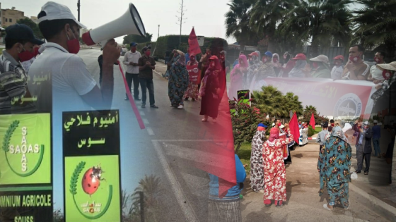 شركة ” أمنيون فلاحي سوس ” توضح مغالطات نقابية للرأي العام بأكادير