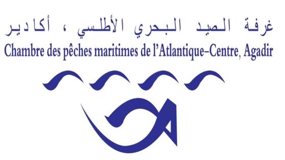 الهبزة وبودربال عن الحمامة وبوسري عن الكتاب والسوسي عن الميزان يضمنون مقاعدهم بغرفة الصيد البحري الأطلسية الوسطى لأكادير.
