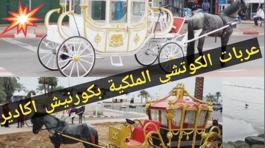 هي الأولى من نوعها في المغرب..عربات فاخرة تعزز الموروث السياحي بعاصمة سوس