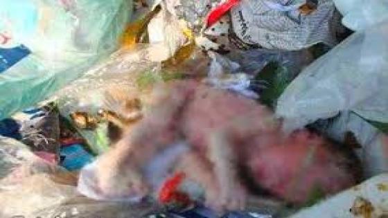 العثور على جثة ” صبي ” بمطرح للنفايات تستنفر الأجهزة الأمنية باشتوكة