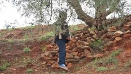 ” أربعيني” يقتل نفسه شنقاً نواحي أمسكرود