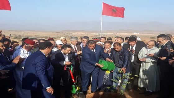 غرس أزيد من 620 شجرة أركان نواحي تزنيت