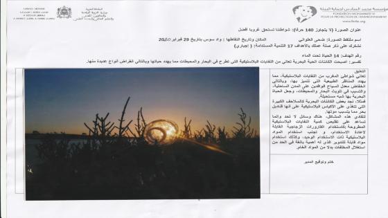” شواطئنا تستحق غروبا أفضل ” موضوع بحث تربوي في آيت ملول