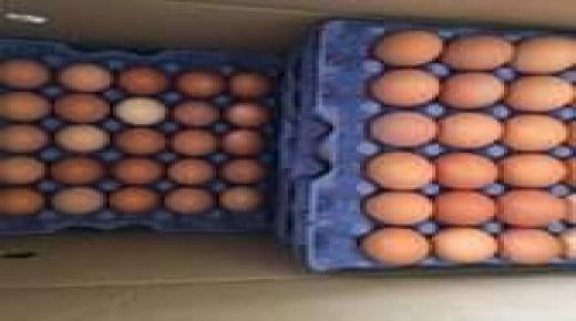 أسعار البيض تصدم المغاربة والمهنيون يوجهون أصابع الاتهام ل”الشناقة”