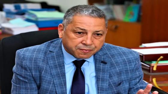 الملك يعيّن شفيقي أمينا لمجلس التربية والتكوين