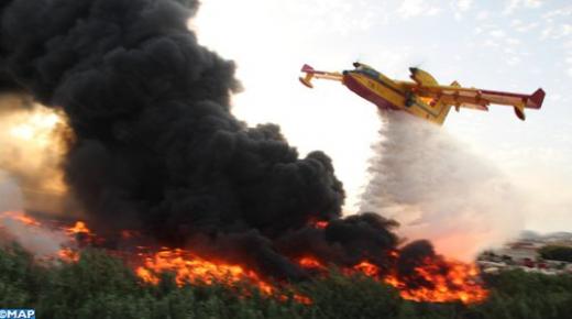 طنجة : السيطرة على حريق أتى على 36 هكتارا من الغابة الدبلوماسية