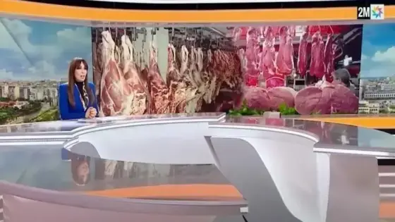 رسميا.. أسعار اللحوم الحمراء ستنخفض ابتداءً من هذا التاريخ