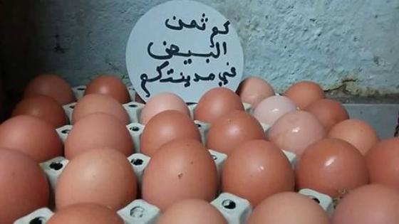 بعد زيت المائدة، البيض يتسلق سلم الأسعار، وارتفاع يقلق جيب المواطن