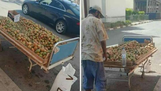 مواقع تسخر من بيع فاكهة ” الكرموس ” على سرير طبي