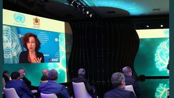 مديرة اليونسكو: أكثر من مجرد شجرة، الأركان هي “حضارة” و”نموذج” لعلاقة الإنسان بالطبيعة