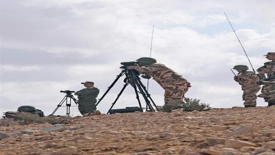 صيد ثمين للقوات المسلحة الملكية قرب الجدار الفاصل