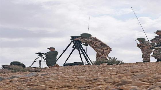 صيد ثمين للقوات المسلحة الملكية قرب الجدار الفاصل