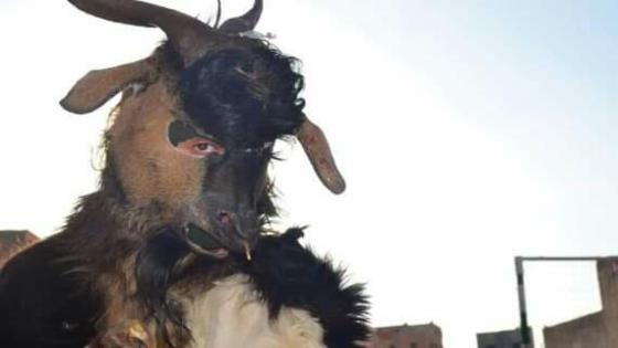 تاريخ “ بوجلود ” الذي يحتفل به المغاربة في عيد الأضحى