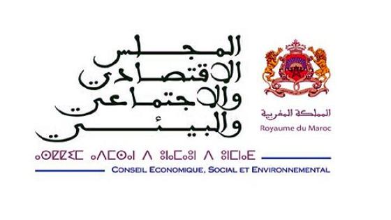 المجلس الاقتصادي والاجتماعي والبيئي يدعو إلى تحسين جودة التعليم عن بعد