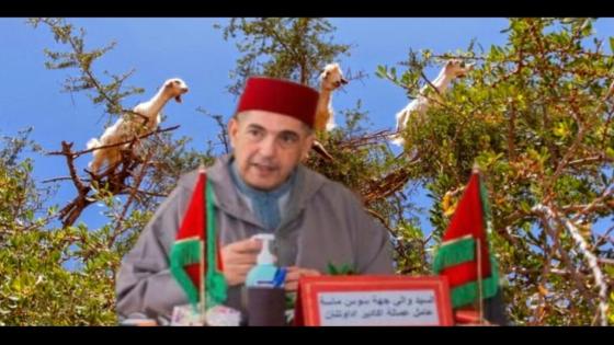 قرار عاملي بسوس ماسة يؤجل جني الأركان إلى غشت لحماية الثروة الغابوية