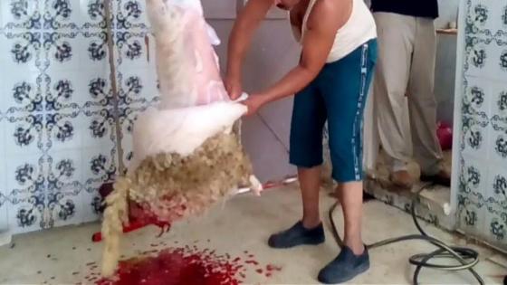 شاب يلقى مصرعه صبيحة العيد بعدما طعن نفسه خطأ اثناء عملية السلخ