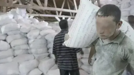 اتهام خطير: برلماني يكشف عن طحن الورق مع الدقيق المدعم
