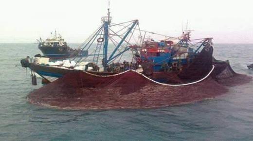 الحكومة الإسبانية: تجديد اتفاقية الصيد البحري مع المغرب صار ”معقدا للغاية”