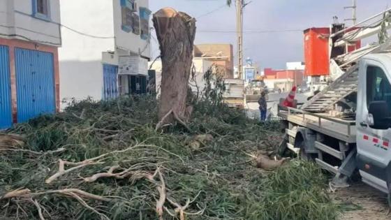 جريمة في حق الطبيعة والإنسان بأورير