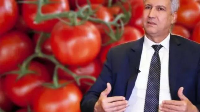 التصدير يلهب أسعار الطماطم في الأسواق وصديقي يتفرج