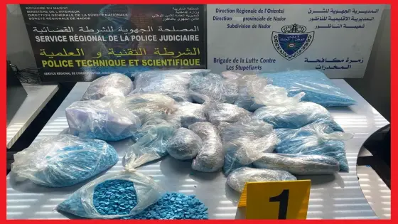 ايقاف شخصين حاولا تهريب المخدرات