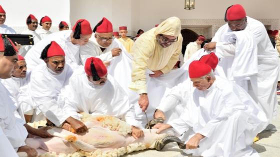 القصر يوزع أضاحي العيد على موظفيه