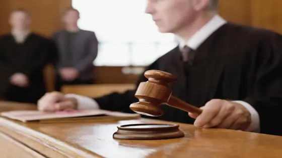 “محكمة مراكش تصدر أحكامًا نهائية تدين مدير شركة عقارية بتزوير ونصب بقيمة 10 مليارات سنتيم”
