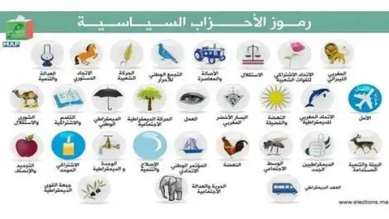 ضعف التأطير الحزبي يدفع المغرب لدعم الشباب المستقل في الانتخابات: دعم مالي يصل 35 ألف درهم