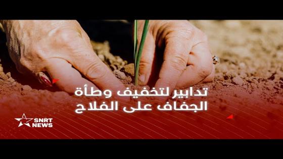 “القطاع الفلاحي في بلدنا ومحنة الجفاف والأمل في المطر”