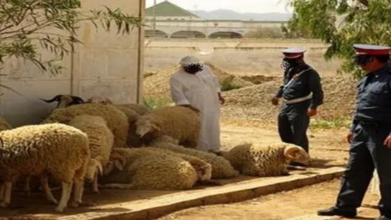 عصابة الفرقشية في قبضة درك بلفاع