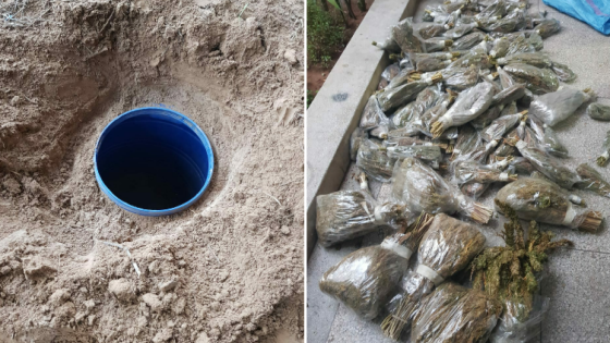 تيكيوين : حجز كمية من القنب الهندي بضفاف واد سوس وتوقيف الجاني
