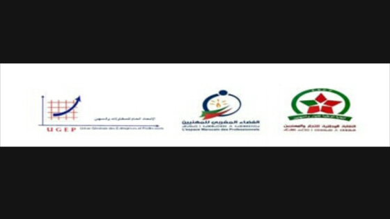التنسيقية الوطنية للهيئات المهنية تلتقي مسؤولين وتصدر بلاغا في الموضوع
