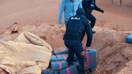 الشرطة القضائية تحجز تسعة أطنان من”الحشيش” بكلميم