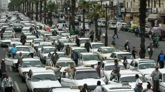 يتراوح بين 1000 و7 آلاف درهم .. هذه تفاصيل قيمة الدعم المخصص لمهنيي النقل