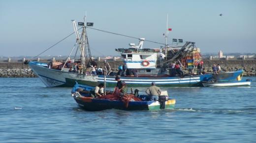 أكادير : حجز أسماك كانت في طريقها الى البيع في السوق ” السوداء ”