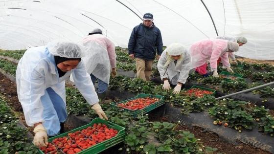 “البنك الدولي” يخصص دعما ماليا مهما لاستراتيجية الجيل الأخضر المعتمدة من طرف المغرب