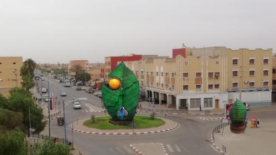 بمناسبة الأيام العالمية للبيئة والمناخ.. الفنان محمد عرواش يقترح إنشاء معلمة فنية وبيئية بمدينة أولاد تايمة