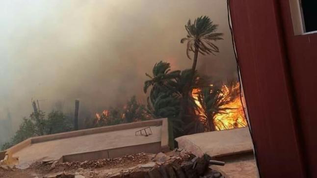 بعد 12 ساعة من التطويق السيطرة على حريق واحة آيت منصور في تافراوت