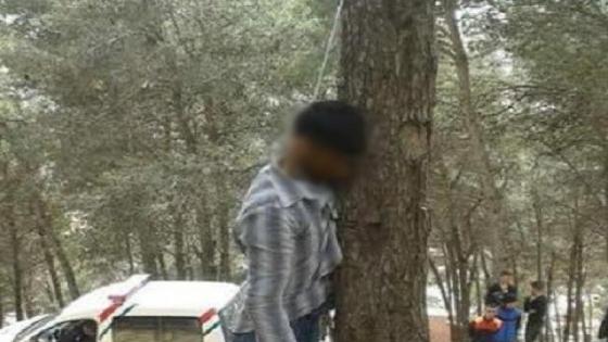 استنفار أمني كبير بعد العثور على “باشا” مشنوقا وسط غابة
